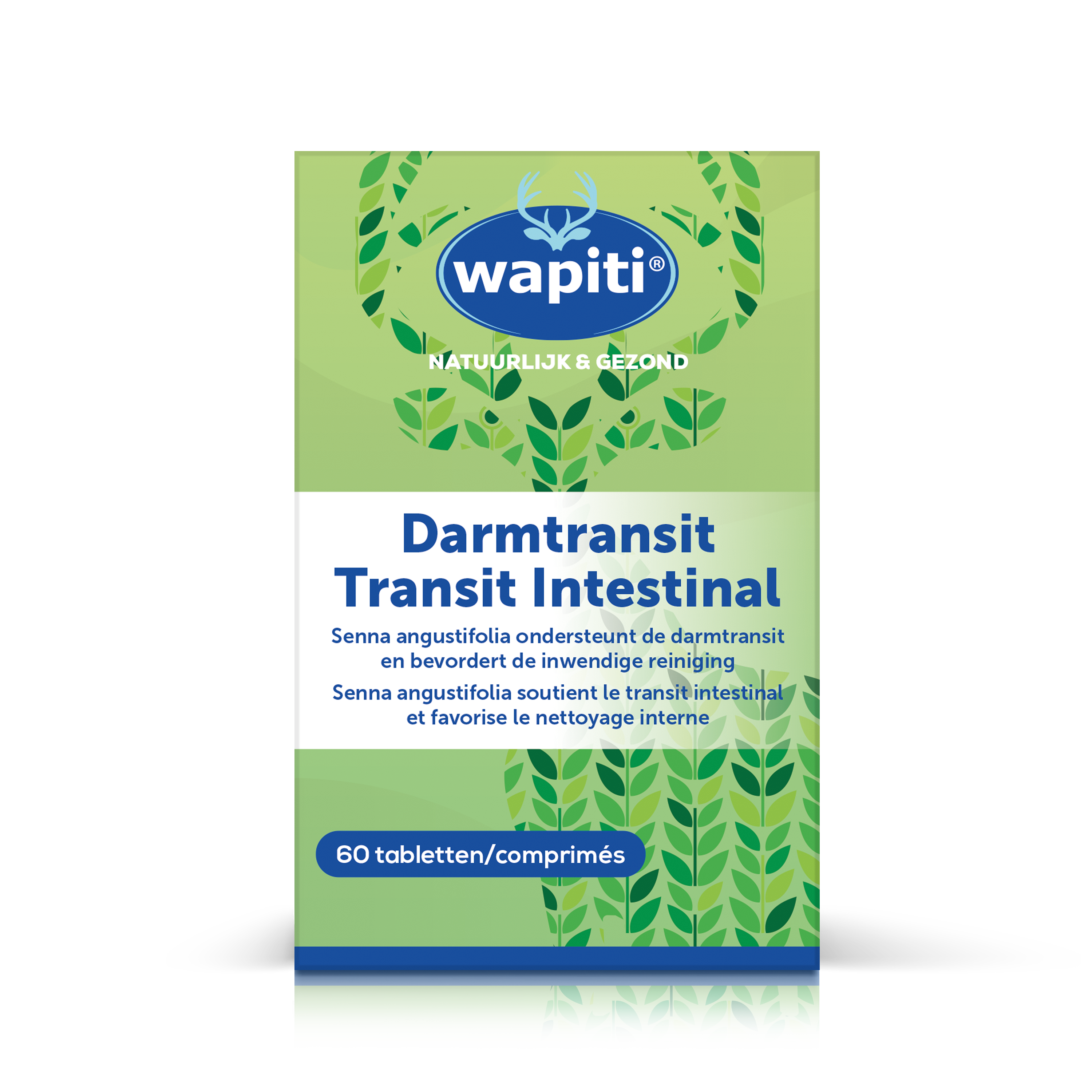 Wapiti Transit intestinal 60pc PL1835/1